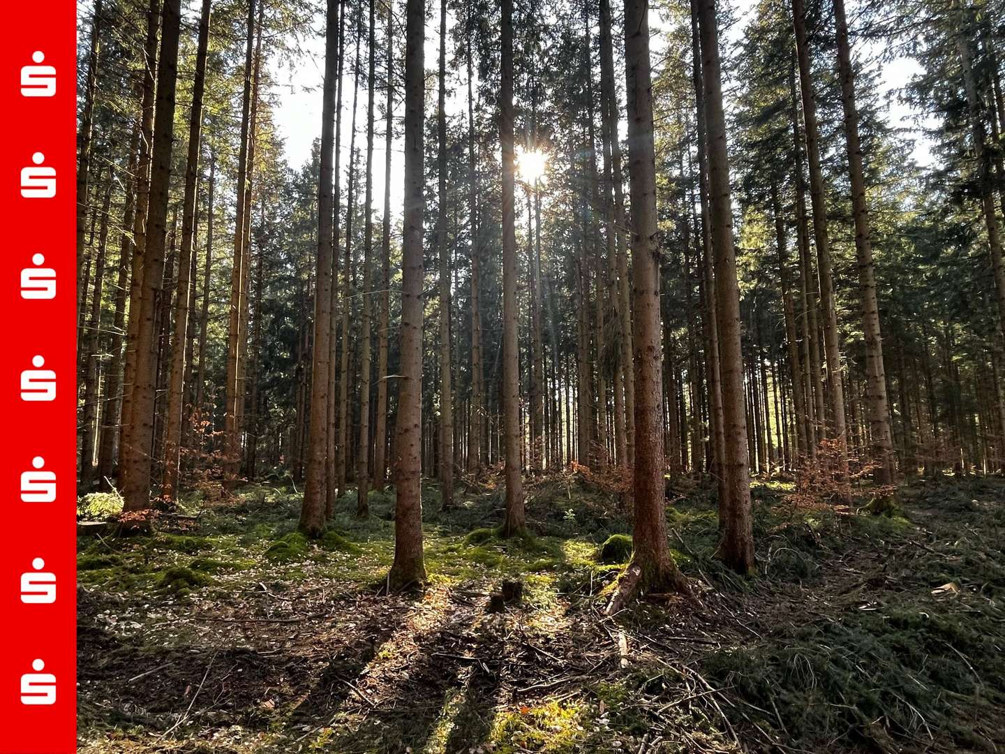Waldstück Waldstück - Sonstige Landwirtschaftsimmobilie in 83624 Otterfing mit 0m² kaufen
