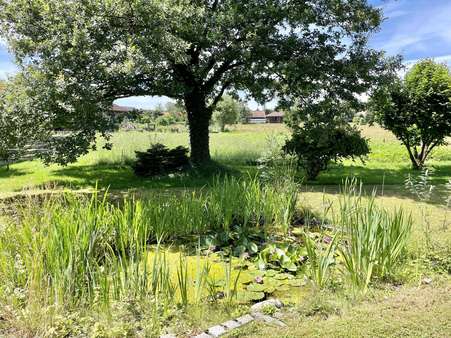 Blick von der Terrasse nach über den Teich - Einfamilienhaus in 82335 Berg mit 167m² kaufen