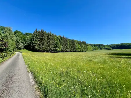 Kapitalanleger aufgepasst: Bungalow mit gr. Grundstück in einmaliger Lage zum späteren Selbstbezug