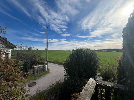 Ausblick vom Balkon Richtung Süd-Osten - Einfamilienhaus in 82057 Icking, Walchstadt mit 142m² kaufen