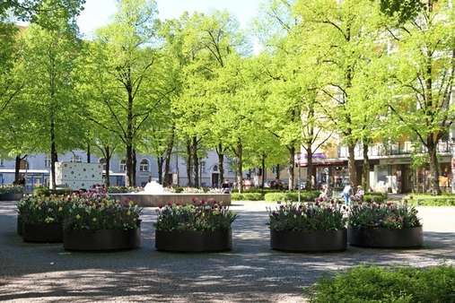 Hohenzollernplatz - Krankenhaus in 80796 München mit 255m² kaufen