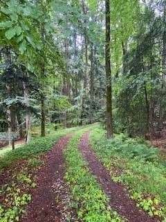 Einfahrt - Grundstück in 94166 Stubenberg mit 4625m² kaufen