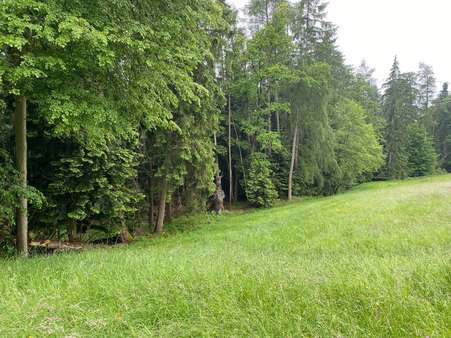 Garten - Grundstück in 94166 Stubenberg mit 4625m² kaufen
