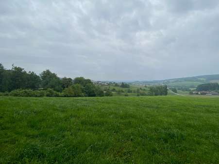 Natur Pur - Grundstück in 94166 Stubenberg mit 4625m² kaufen