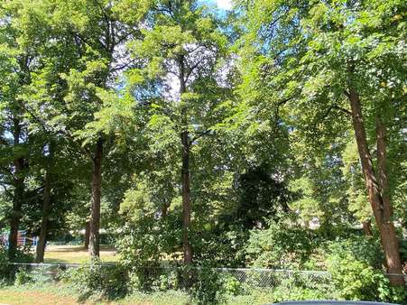 Blick aus dem Küchenfenster Blick aus dem Küchenfenster - Erdgeschosswohnung in 81245 München mit 85m² kaufen