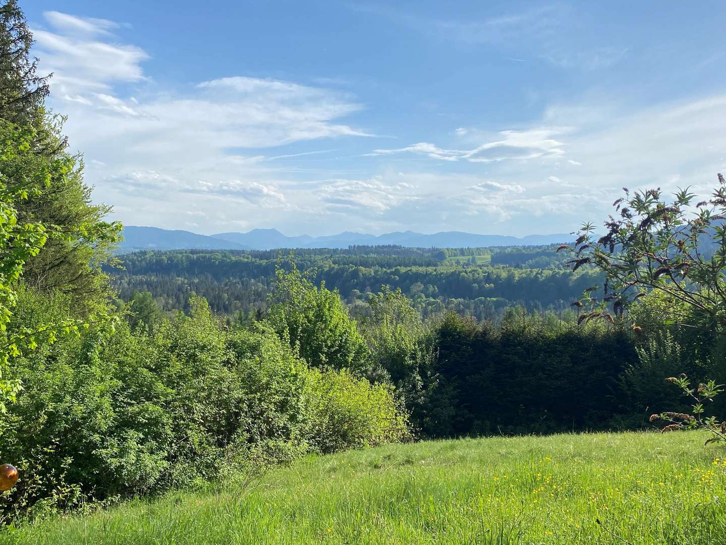 Ausblick - Einfamilienhaus in 83629 Weyarn mit 232m² kaufen