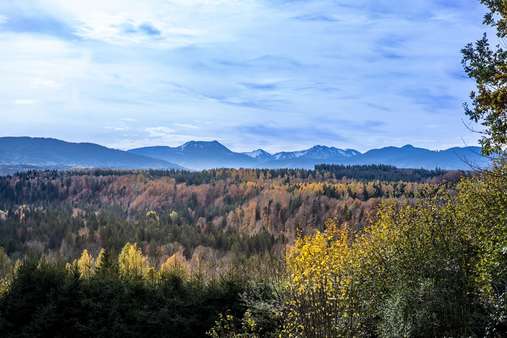 Blick nach Westen - Voralpen - Einfamilienhaus in 83629 Weyarn mit 232m² kaufen