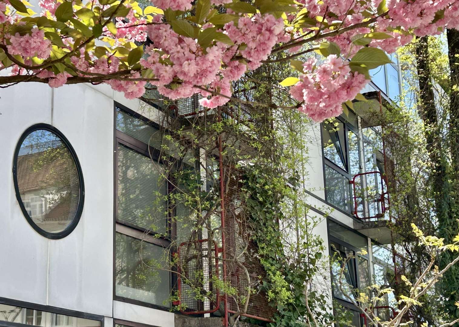 Prämierte Architektur - Etagenwohnung in 80805 München mit 29m² kaufen