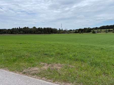 Foto 1 - Grundstück in 85567 Grafing mit 25260m² kaufen