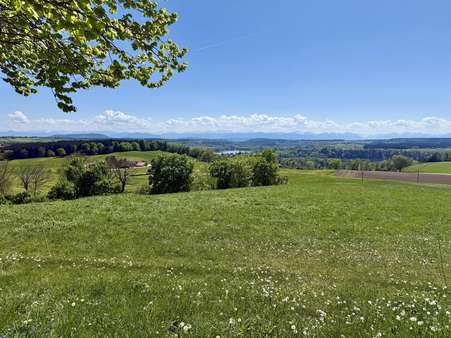 Blick vom "Balkon von Oberbayern" - Doppelhaushälfte in 86934 Reichling mit 313m² kaufen