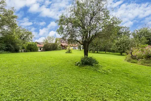 Modernes Wohnen umgeben von ländlicher Idylle