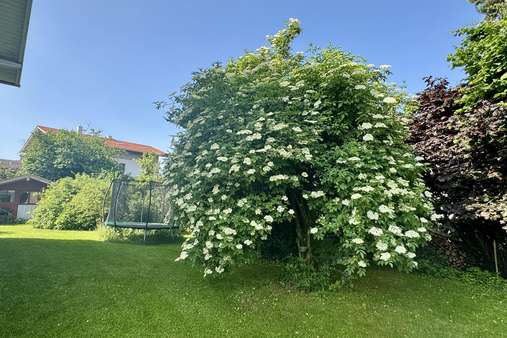 Garten Garten - Zweifamilienhaus in 83278 Traunstein mit 150m² kaufen