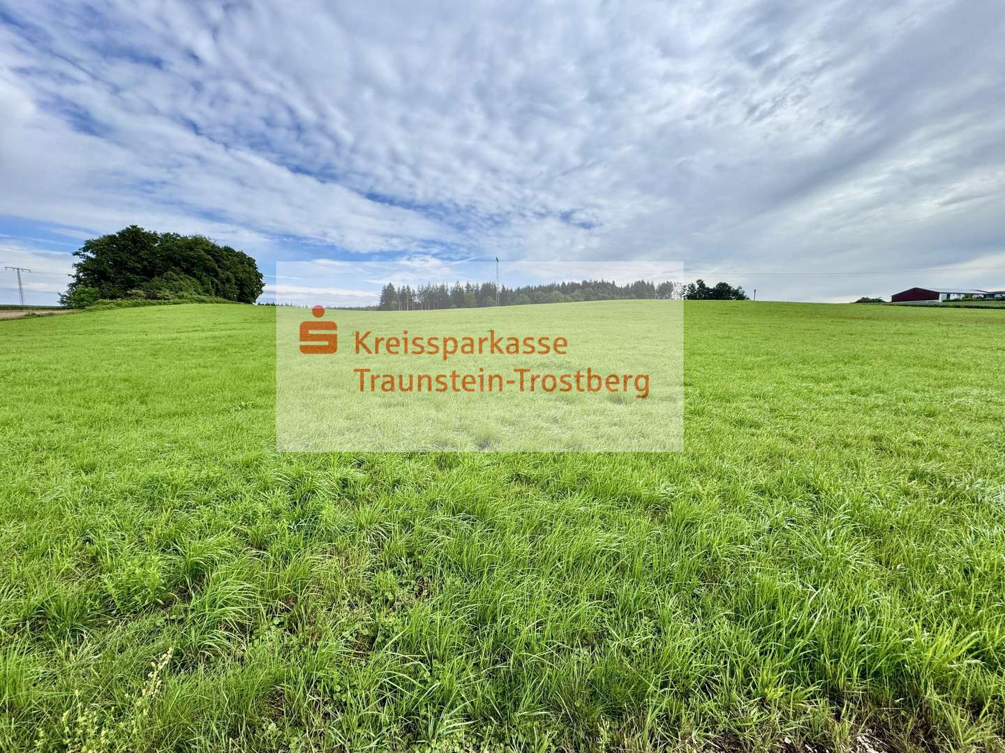 Ansicht Ansicht - Grundstück in 83132 Pittenhart mit 19950m² kaufen