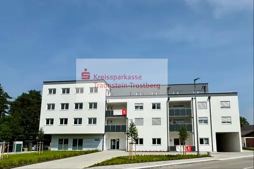ANSCHAUEN - KAUFEN - EINZIEHEN !