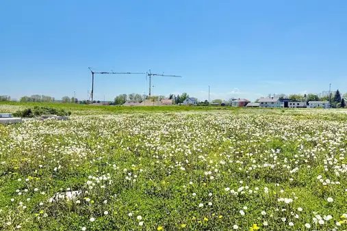 Bauen Sie doch wann Sie wollen!