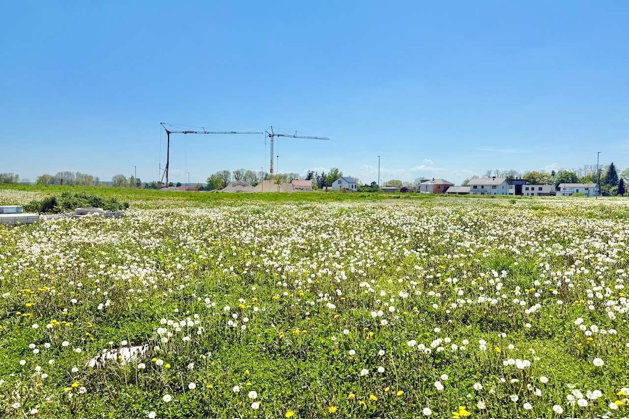 null - Grundstück in 84453 Mühldorf mit 617m² kaufen