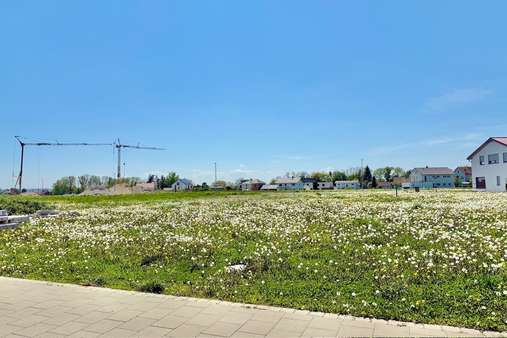 null - Grundstück in 84453 Mühldorf mit 617m² kaufen
