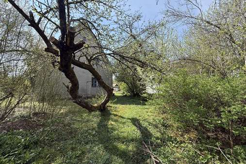 Garten - Grundstück in 84513 Töging mit 611m² kaufen