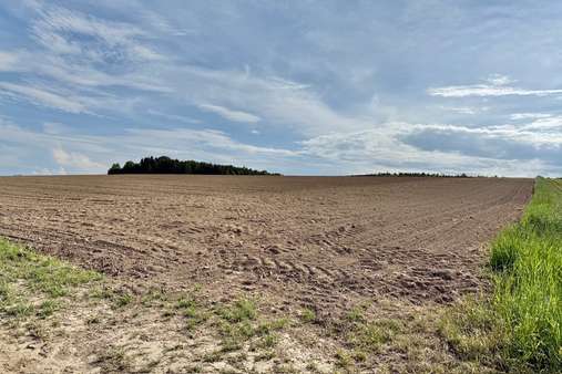 Grundstück in 84539 Zangberg mit 80000m² kaufen