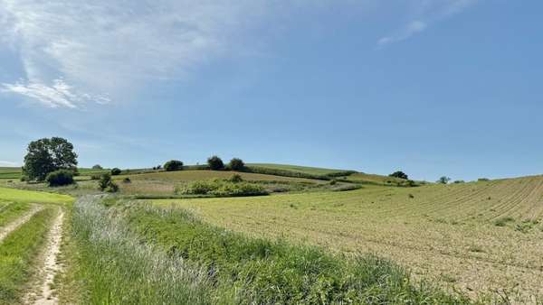 Grundstück in 84539 Zangberg mit 80000m² kaufen