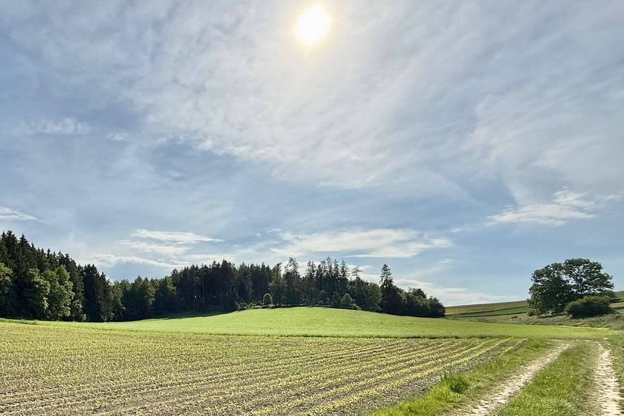 Grundstück in 84539 Zangberg mit 27786m² kaufen