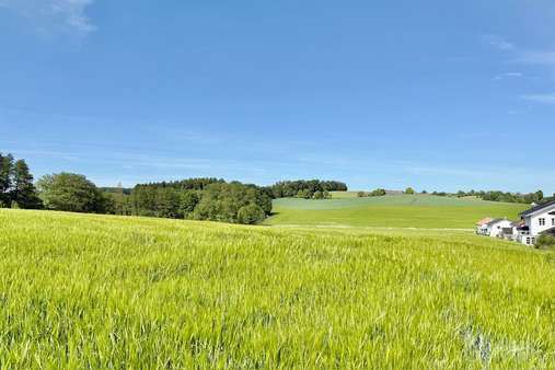 Grundstück in 84539 Zangberg mit 36000m² kaufen