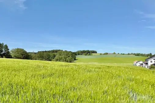  Landwirtschaftliches Grundstück im Gemeindebereich Zangberg