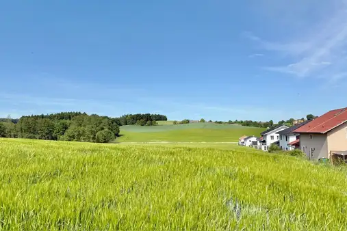  Landwirtschaftliches Grundstück im Gemeindebereich Zangberg
