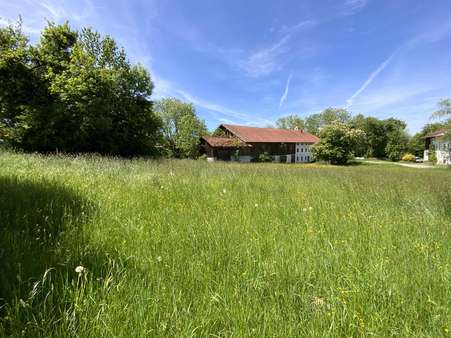 viel Wiesen um die Hofstelle - Bauernhaus in 83549 Eiselfing mit 150m² kaufen