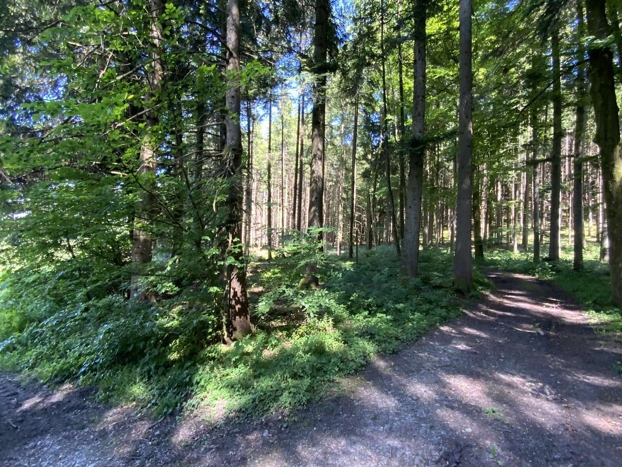 Zufahrt - Grundstück in 83547 Babensham mit 14066m² kaufen