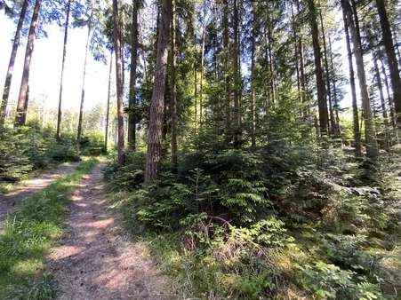 Zufahrt - gemeindlich - Grundstück in 83549 Eiselfing mit 42080m² kaufen