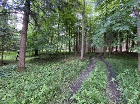 Rückweg Rückweg - Grundstück in 83539 Pfaffing mit 16500m² kaufen