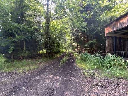 Weg an der künftigen Südgrenze Weg an der künftigen Südgrenze - Grundstück in 83539 Pfaffing mit 16500m² kaufen