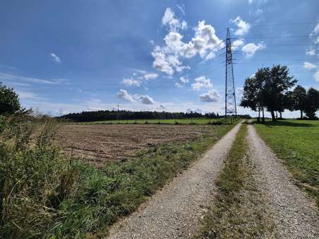 Alleinlage - Einfamilienhaus in 85664 Hohenlinden, Birkach mit 90m² kaufen