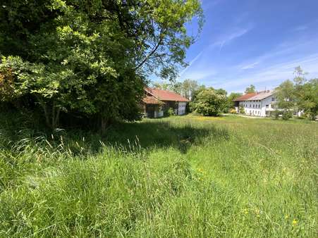 Über 7.000 qm Wiesen um den Ho - Landwirtschaftlicher Betrieb in 83549 Eiselfing mit 150m² kaufen