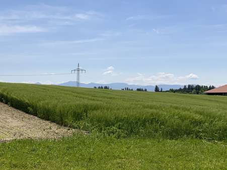 Bergblick am Hang - Landwirtschaftlicher Betrieb in 83549 Eiselfing mit 150m² kaufen