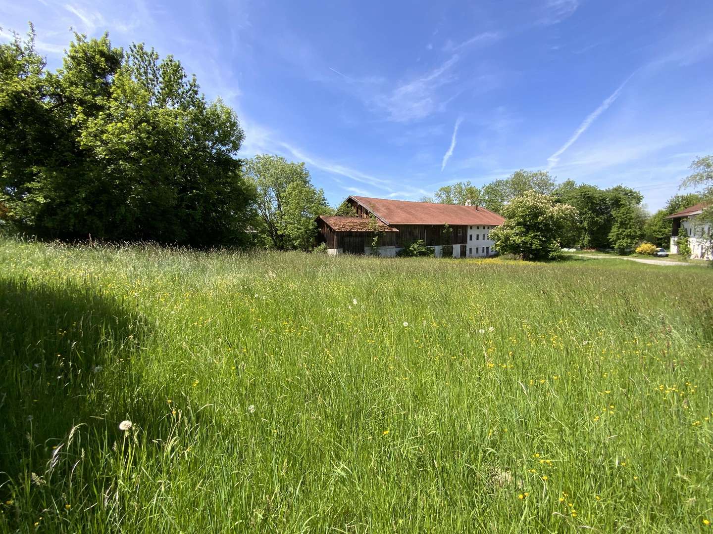 Gesamtansicht - Landwirtschaftlicher Betrieb in 83549 Eiselfing mit 150m² kaufen