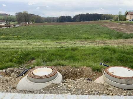 Blick auf das Grundstück - Grundstück in 84424 Isen mit 3400m² kaufen