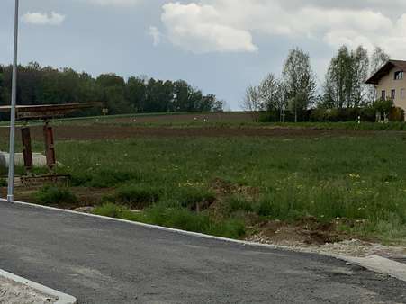 Blick auf das Grundstück - Grundstück in 84424 Isen mit 3400m² kaufen