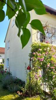 Aussenansicht  Süd-West - Zweifamilienhaus in 86529 Schrobenhausen mit 165m² kaufen
