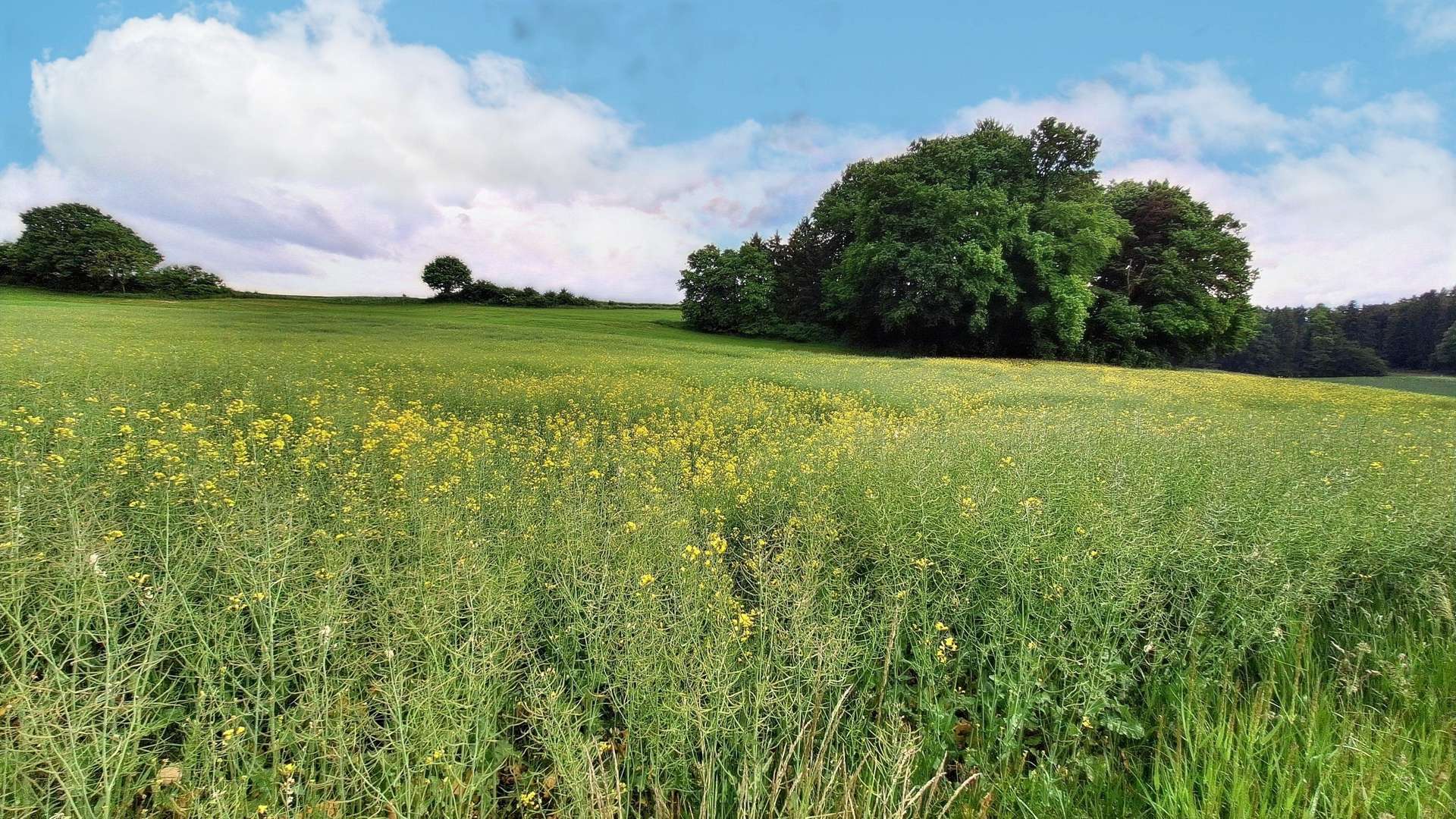 Außenansicht - Grundstück in 86554 Pöttmes mit 10044m² kaufen