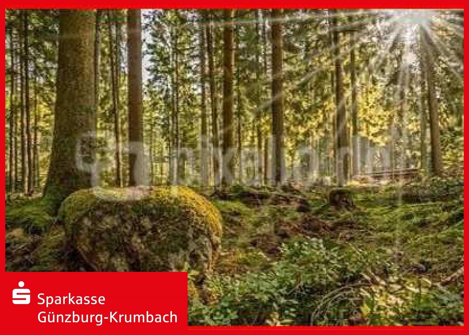 Waldgrundstück - Grundstück in 86513 Ursberg mit 6975m² kaufen