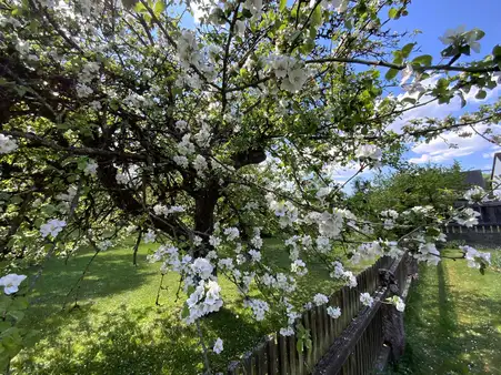 Haus mit Traumgarten am Ufer der Altmühl