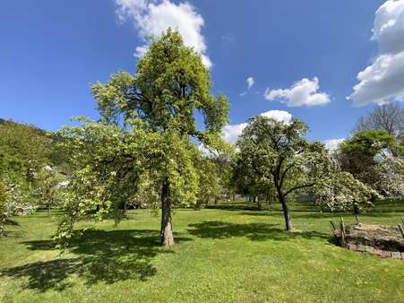 Garten - Einfamilienhaus in 91795 Dollnstein mit 245m² kaufen