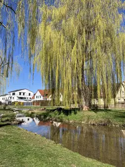 Doppelhaushälfte im Herzen von Beilngries - "Wohnen, wo andere Urlaub machen!"