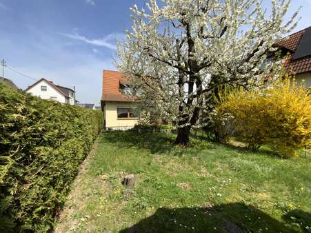 großer sonniger Garten - Einfamilienhaus in 85055 Ingolstadt mit 100m² kaufen