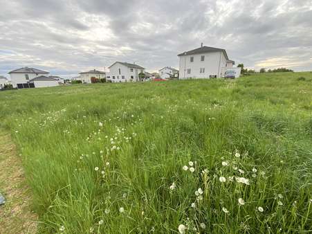 Ostansicht - Grundstück in 85134 Stammham mit 582m² kaufen