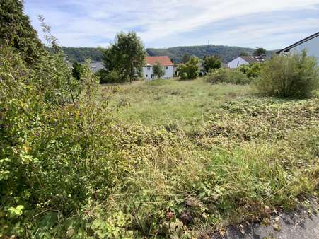 Blick ins Tal Süd-Westseite Blick ins Tal Süd-Westseite - Grundstück in 85072 Eichstätt mit 1193m² kaufen