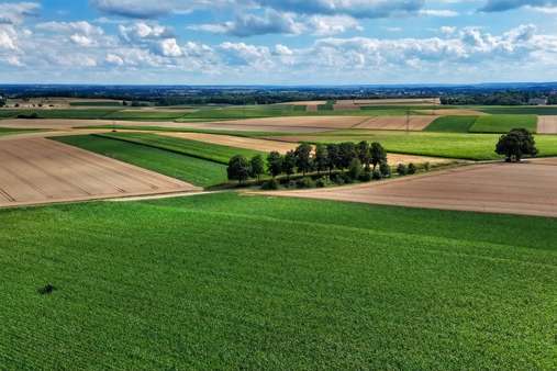Ausblick über die angrenzenden Felder - Doppelhaushälfte in 86673 Bergheim mit 180m² kaufen