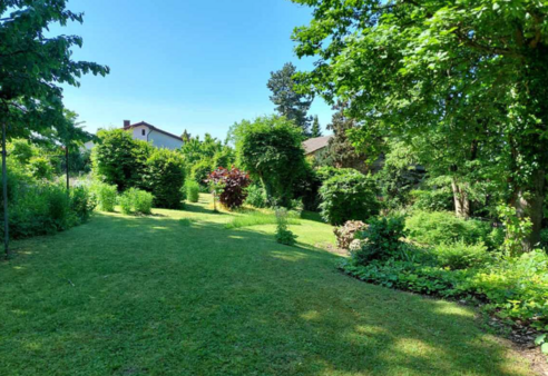 Garten im Sommer - Einfamilienhaus in 86609 Donauwörth mit 177m² kaufen